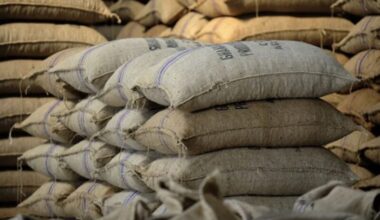Cocoa sector witnessed improvement in late 2024; new financing model has reduced liquidity constraints – IMF